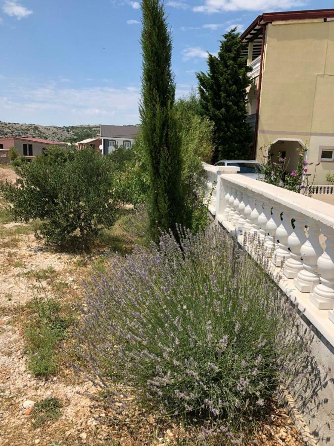 Apartmani Gabi Cesarica Buitenkant foto