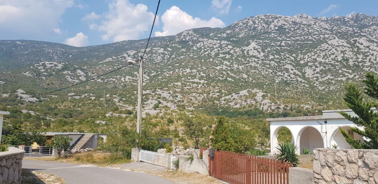 Apartmani Gabi Cesarica Buitenkant foto
